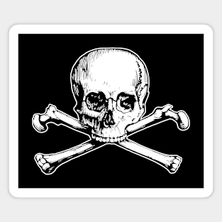 Skull and Crossbones Magnet